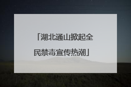 湖北通山掀起全民禁毒宣传热潮