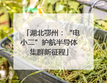 湖北鄂州：“电小二”护航半导体集群新征程