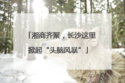 湘商齐聚，长沙这里掀起“头脑风暴”