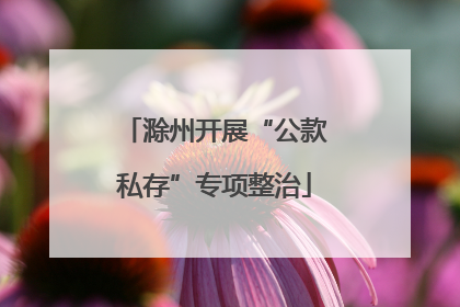滁州开展“公款私存”专项整治