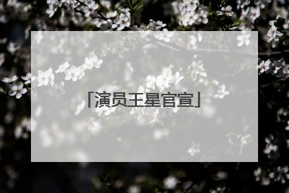 演员王星官宣