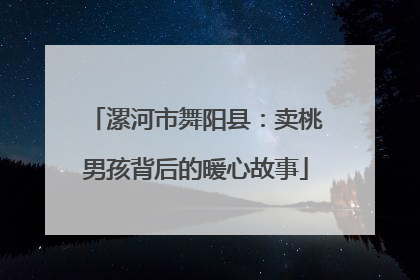 漯河市舞阳县：卖桃男孩背后的暖心故事