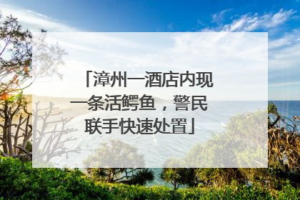 漳州一酒店内现一条活鳄鱼，警民联手快速处置