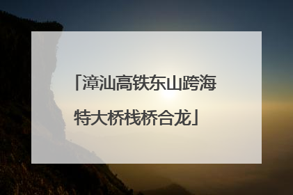 漳汕高铁东山跨海特大桥栈桥合龙