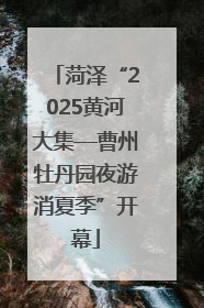 菏泽“2025黄河大集—曹州牡丹园夜游消夏季”开幕
