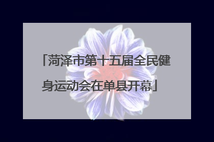 菏泽市第十五届全民健身运动会在单县开幕