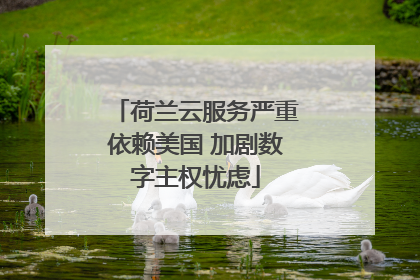荷兰云服务严重依赖美国 加剧数字主权忧虑