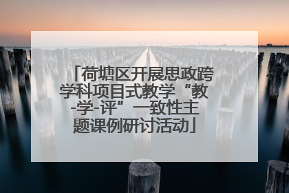 荷塘区开展思政跨学科项目式教学“教-学-评”一致性主题课例研讨活动