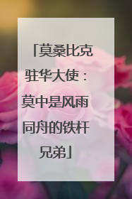莫桑比克驻华大使：莫中是风雨同舟的铁杆兄弟