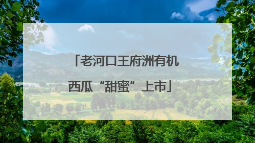 老河口王府洲有机西瓜“甜蜜”上市
