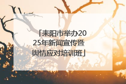 耒阳市举办2025年新闻宣传暨舆情应对培训班