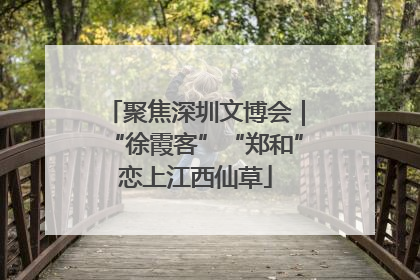 聚焦深圳文博会｜“徐霞客”“郑和”恋上江西仙草