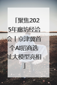 聚焦2025年廊坊经洽会丨京津冀首个AI招商选址大模型亮相