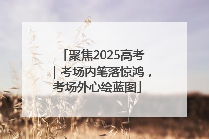 聚焦2025高考｜考场内笔落惊鸿，考场外心绘蓝图