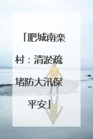 肥城南栾村：清淤疏堵防大汛保平安
