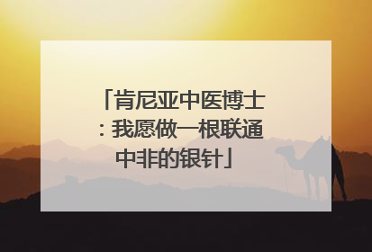 肯尼亚中医博士：我愿做一根联通中非的银针