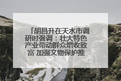 胡昌升在天水市调研时强调：壮大特色产业带动群众增收致富 加强文物保护推动文化创新发展