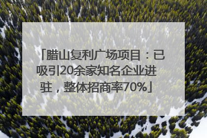 腊山复利广场项目：已吸引20余家知名企业进驻，整体招商率70%