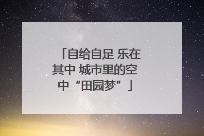 自给自足 乐在其中 城市里的空中“田园梦”