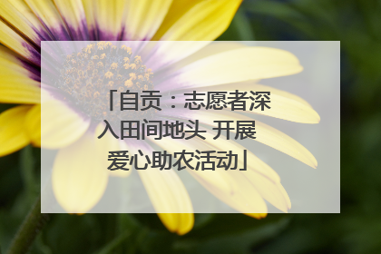 自贡：志愿者深入田间地头 开展爱心助农活动
