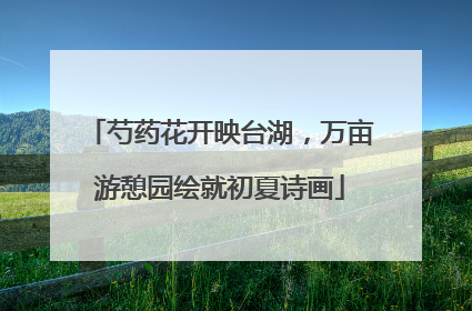 芍药花开映台湖，万亩游憩园绘就初夏诗画