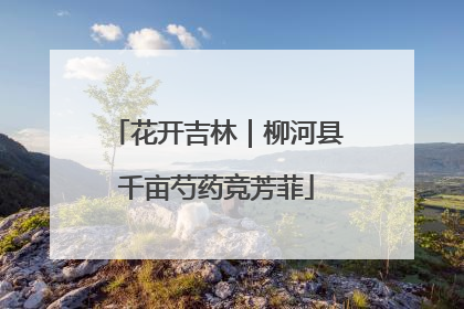花开吉林｜柳河县千亩芍药竞芳菲
