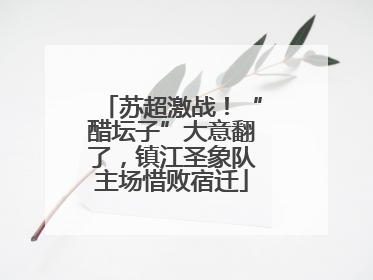 苏超激战！“醋坛子”大意翻了，镇江圣象队主场惜败宿迁