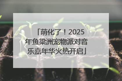 萌化了！2025年鱼梁洲宠物派对音乐嘉年华火热开启