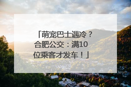 萌宠巴士遇冷？合肥公交：满10位乘客才发车！