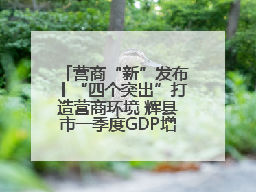 营商“新”发布丨“四个突出”打造营商环境 辉县市一季度GDP增长6.9% 36个重点项目落地