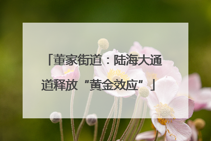 董家街道：陆海大通道释放“黄金效应”