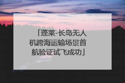 蓬莱-长岛无人机跨海运输场景首航验证试飞成功