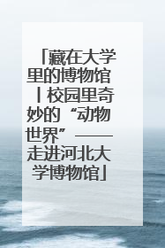 藏在大学里的博物馆丨校园里奇妙的“动物世界”——走进河北大学博物馆