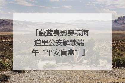 藏蓝身影穿粽海 道里公安解锁端午“平安盲盒”