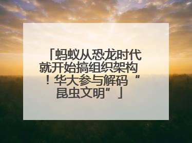 蚂蚁从恐龙时代就开始搞组织架构！华大参与解码“昆虫文明”