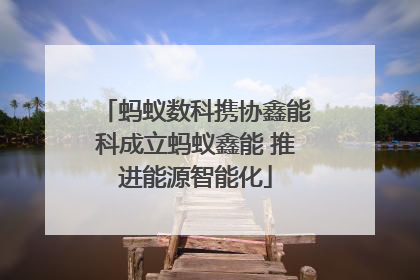 蚂蚁数科携协鑫能科成立蚂蚁鑫能 推进能源智能化