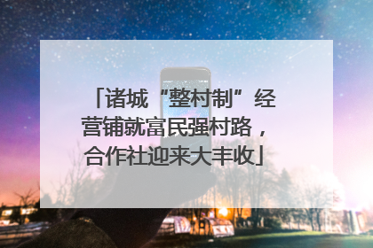 诸城“整村制”经营铺就富民强村路，合作社迎来大丰收