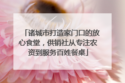 诸城市打造家门口的放心食堂，供销社从专注农资到服务百姓餐桌