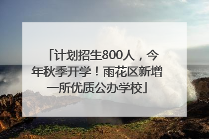 计划招生800人，今年秋季开学！雨花区新增一所优质公办学校