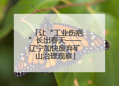 让“工业伤疤”长出春天——辽宁加快废弃矿山治理观察