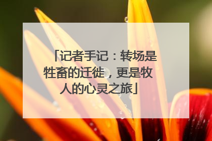 记者手记：转场是牲畜的迁徙，更是牧人的心灵之旅