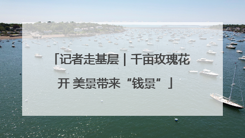 记者走基层｜千亩玫瑰花开 美景带来“钱景”