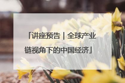 讲座预告｜全球产业链视角下的中国经济