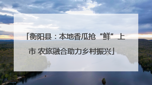 衡阳县：本地香瓜抢“鲜”上市 农旅融合助力乡村振兴