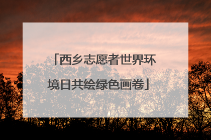西乡志愿者世界环境日共绘绿色画卷