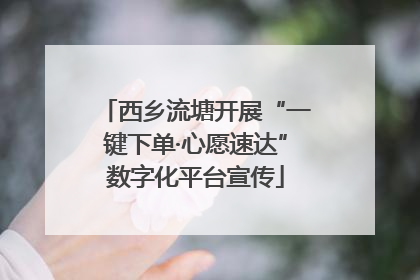西乡流塘开展“一键下单·心愿速达”数字化平台宣传