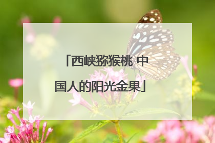 西峡猕猴桃 中国人的阳光金果
