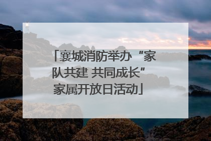 襄城消防举办“家队共建 共同成长”家属开放日活动