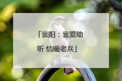 襄阳：襄爱助听 情暖老兵