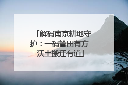 解码南京耕地守护：一码管田有方 沃土搬迁有道